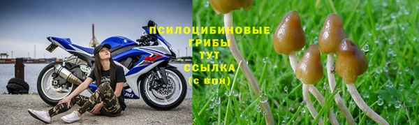 дурь Баксан