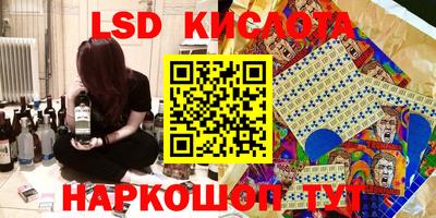 шишки Жуковский
