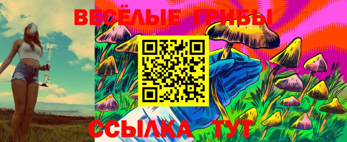 Лянтор  Псилоцибиновые грибы MAGIC MUSHROOMS  Вход с VPN  Галлюциногенные грибы Psilocybe 