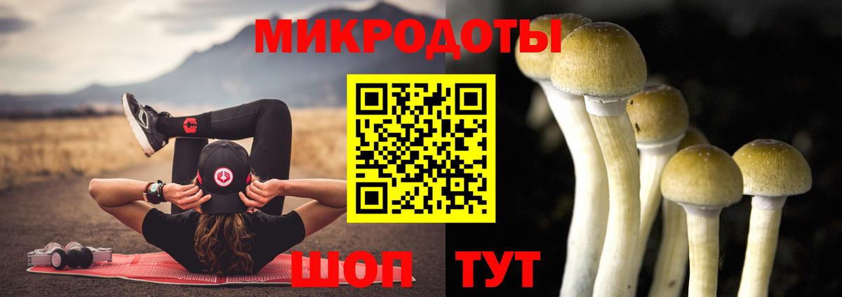 Галлюциногенные грибы мицелий Лянтор